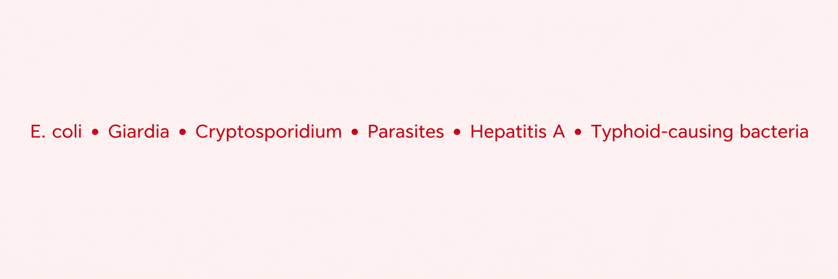 E. coli, Giardia, Cryptosporidium, parasites, Hepatitis A and typhoid-causing bacteria